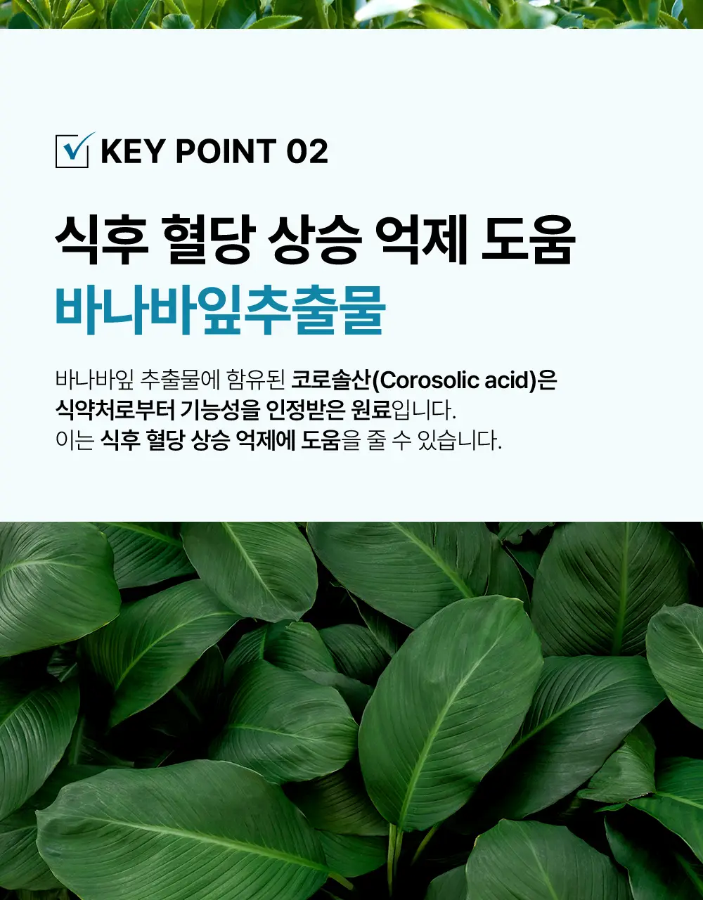 [추성훈PICK] 헬스헬퍼 맥스컷 프로 크롬 60캡슐 (10일분) 상세페이지 14